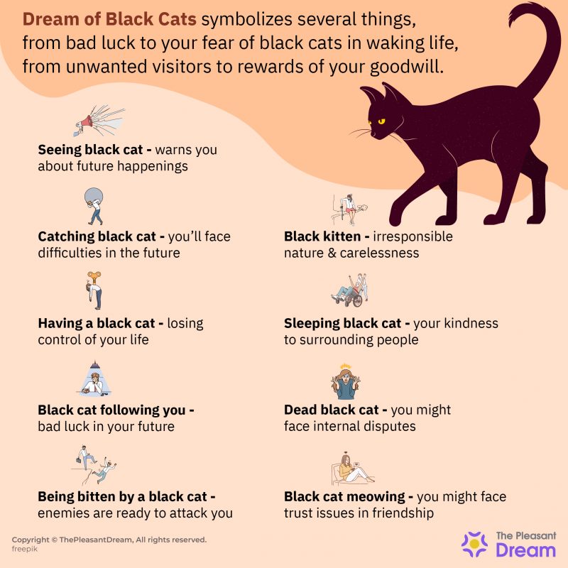 black-cat-in-dream-80-scenarios-and-their-interpretations