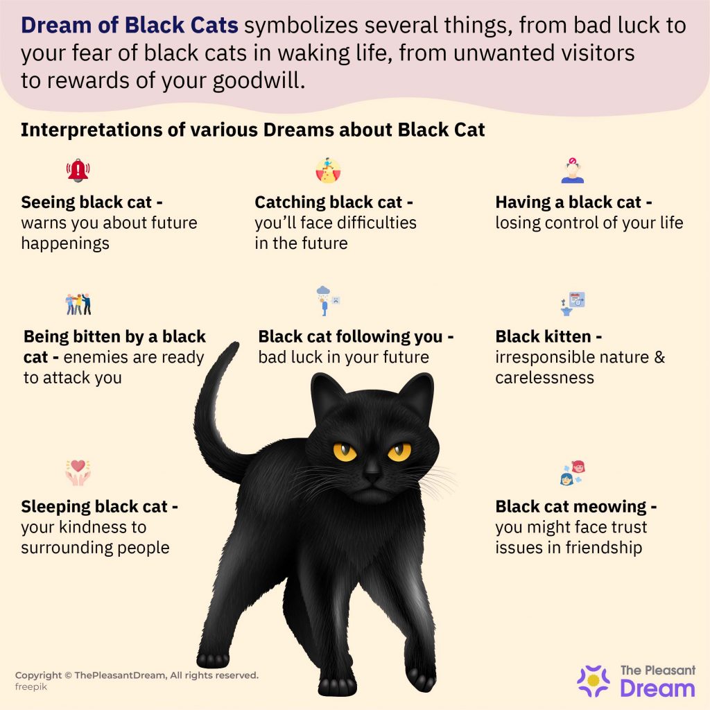 Black Cat in Dream - 80 Scenarios and Their Interpretations