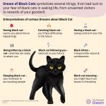 Black Cat in Dream - Does It Denote Difficult Times and Misfortune?