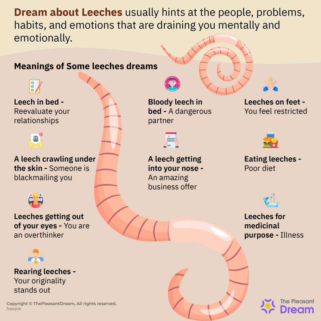 Dream About Leeches - Plots And Their Meanings