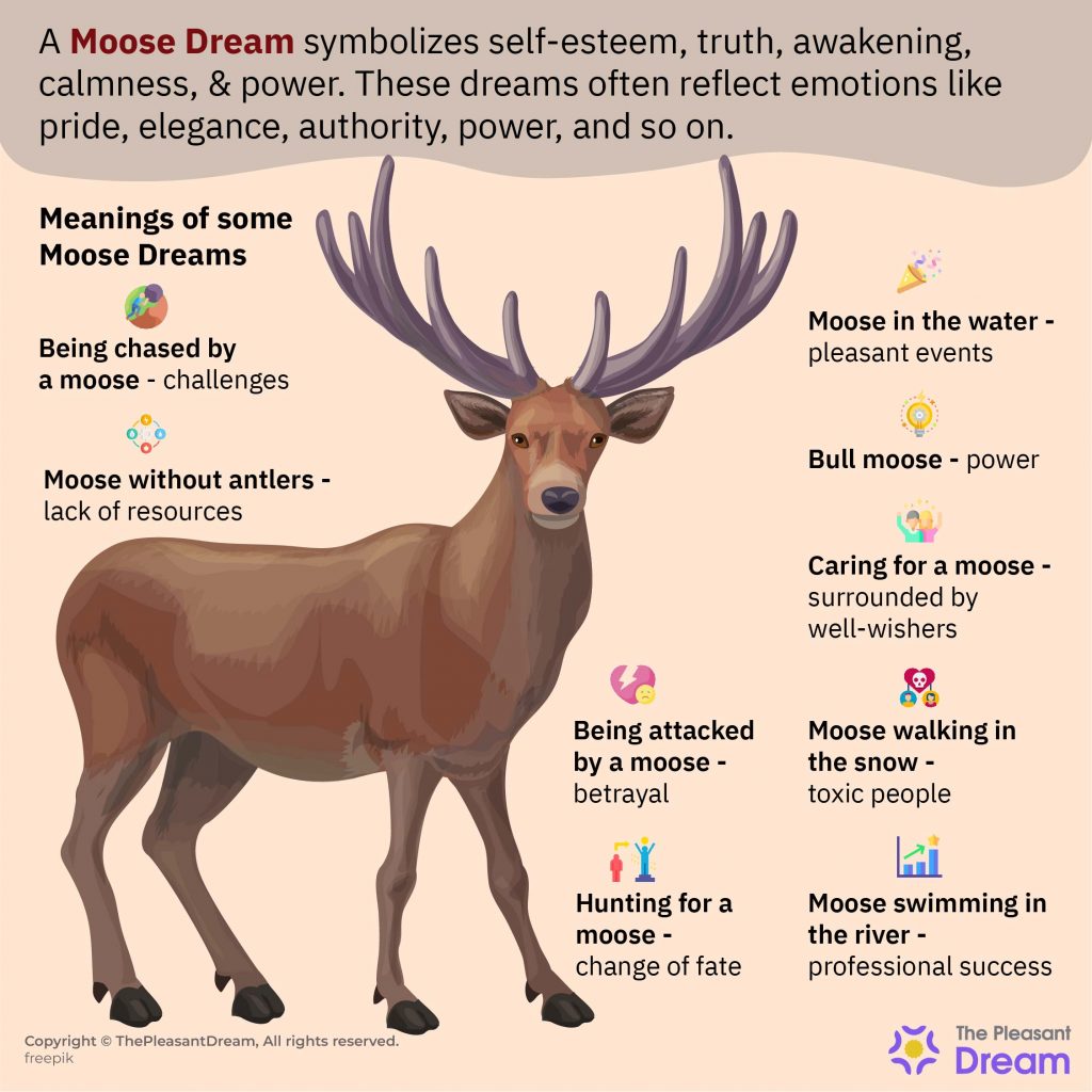 Dream about a Moose - Various Scenarios & Their Interpretations