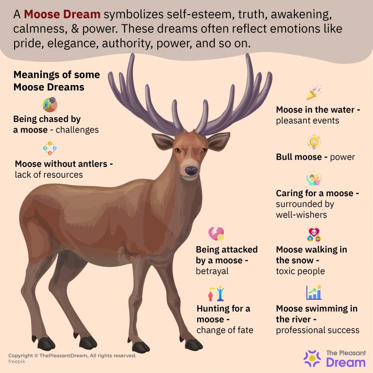 dream-about-a-moose-what-does-it-mean-to-you