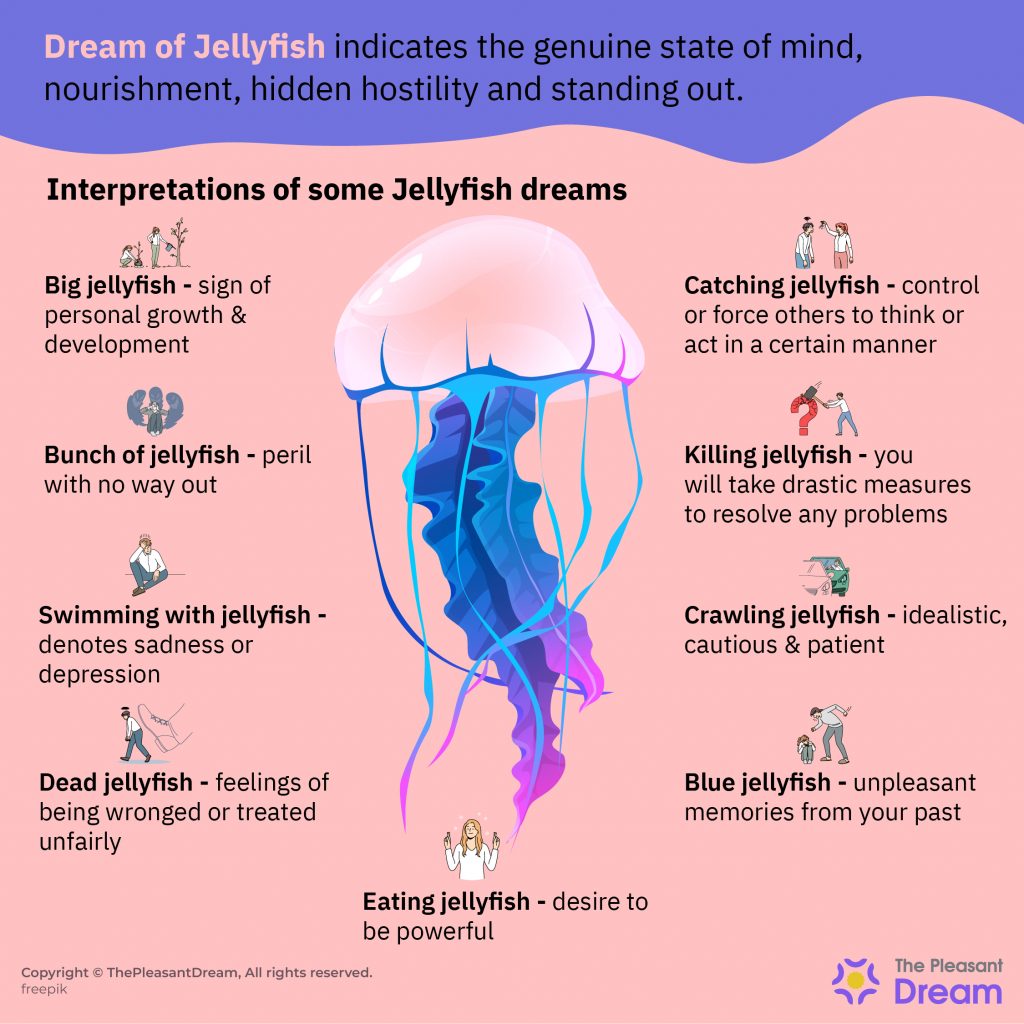 Dream of Jellyfish - Various Intriguing Scenarios & Interpretations