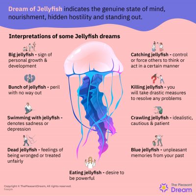 Dream of Jellyfish - Various Intriguing Scenarios & Interpretations