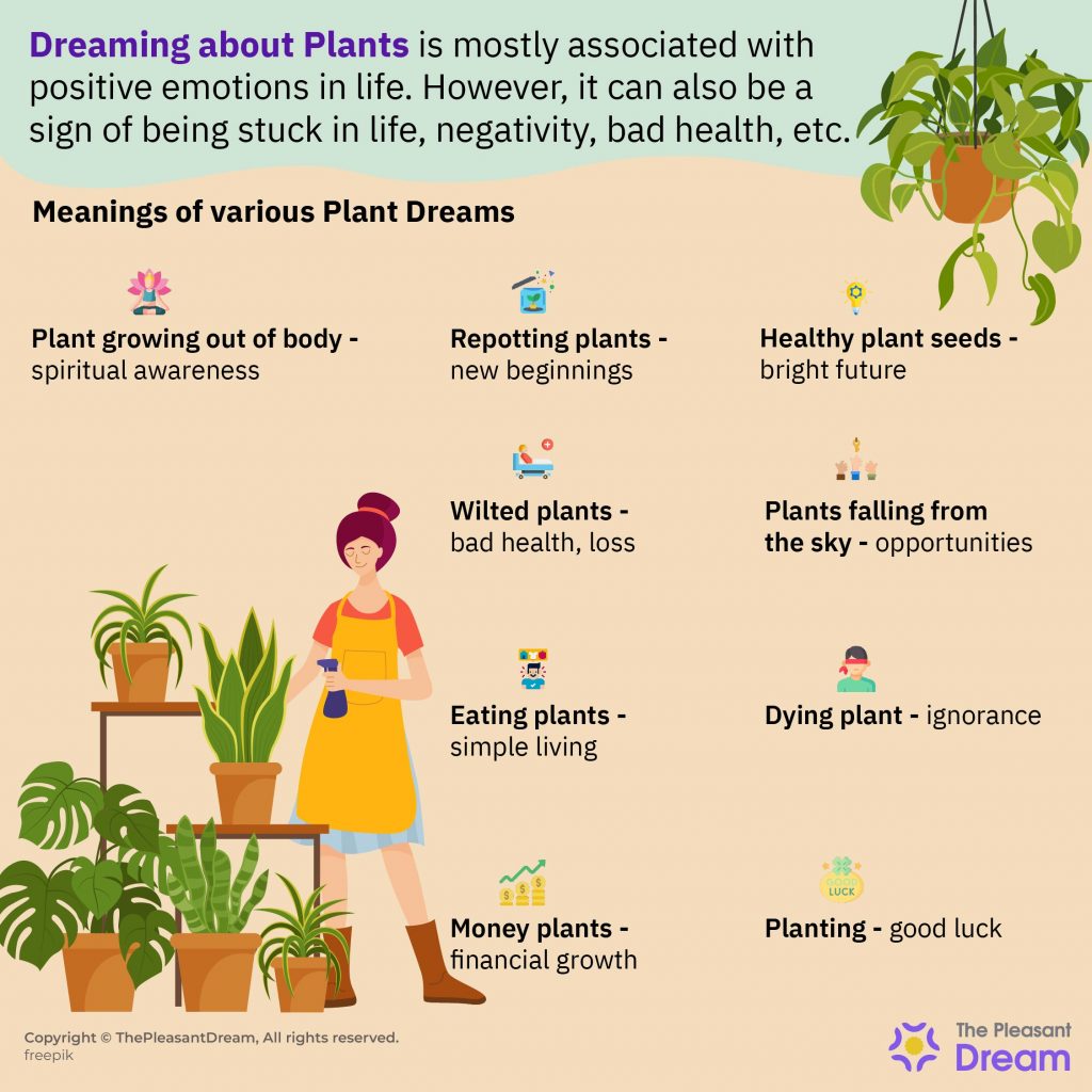Dreaming of Plants - Various Scenarios & Their Interpretations