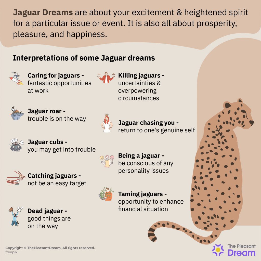Jaguar in Dream - 36 Various Scenarios & Thier Interpretations