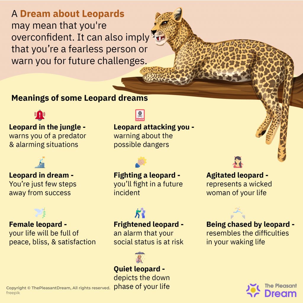 Leopard in Dream - 55 Scenarios and Its Interpretation