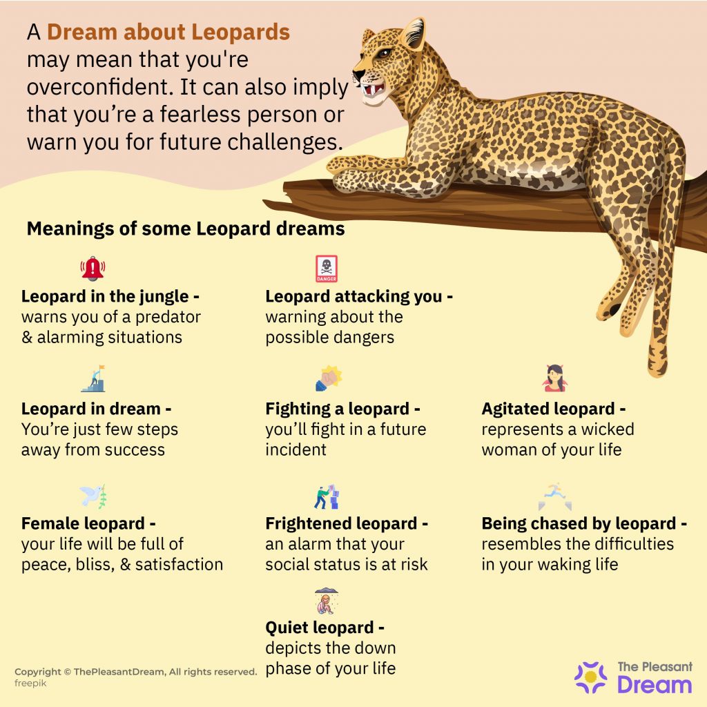 leopard symbol meaning