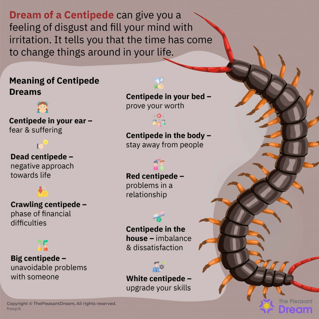 Dream of Centipede - 44 Interesting Scenarios Along With Interpretations