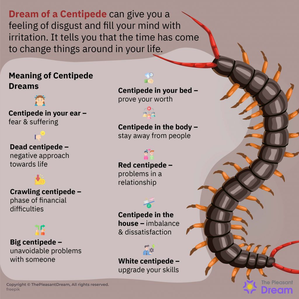 Dream Of Centipede Some Interesting Scenarios Interpretations
