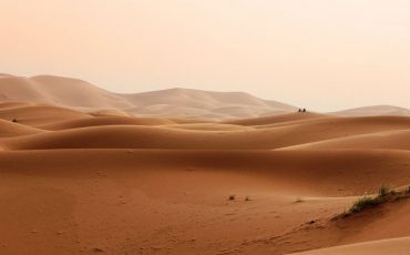 Desert Dream Meaning - Intriguing Plots and Their Interpretations