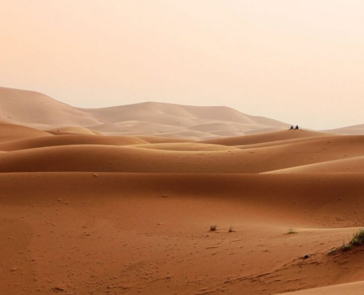 Desert Dream Meaning - 52 Intriguing Plots and Their Interpretations