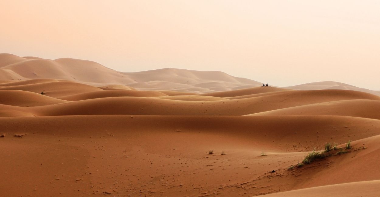 Desert Dream Meaning - Intriguing Plots and Their Interpretations