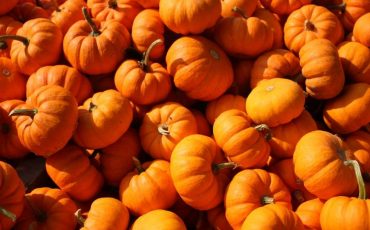 Dream about Pumpkin - Unearthing Scenarios & Interpretations