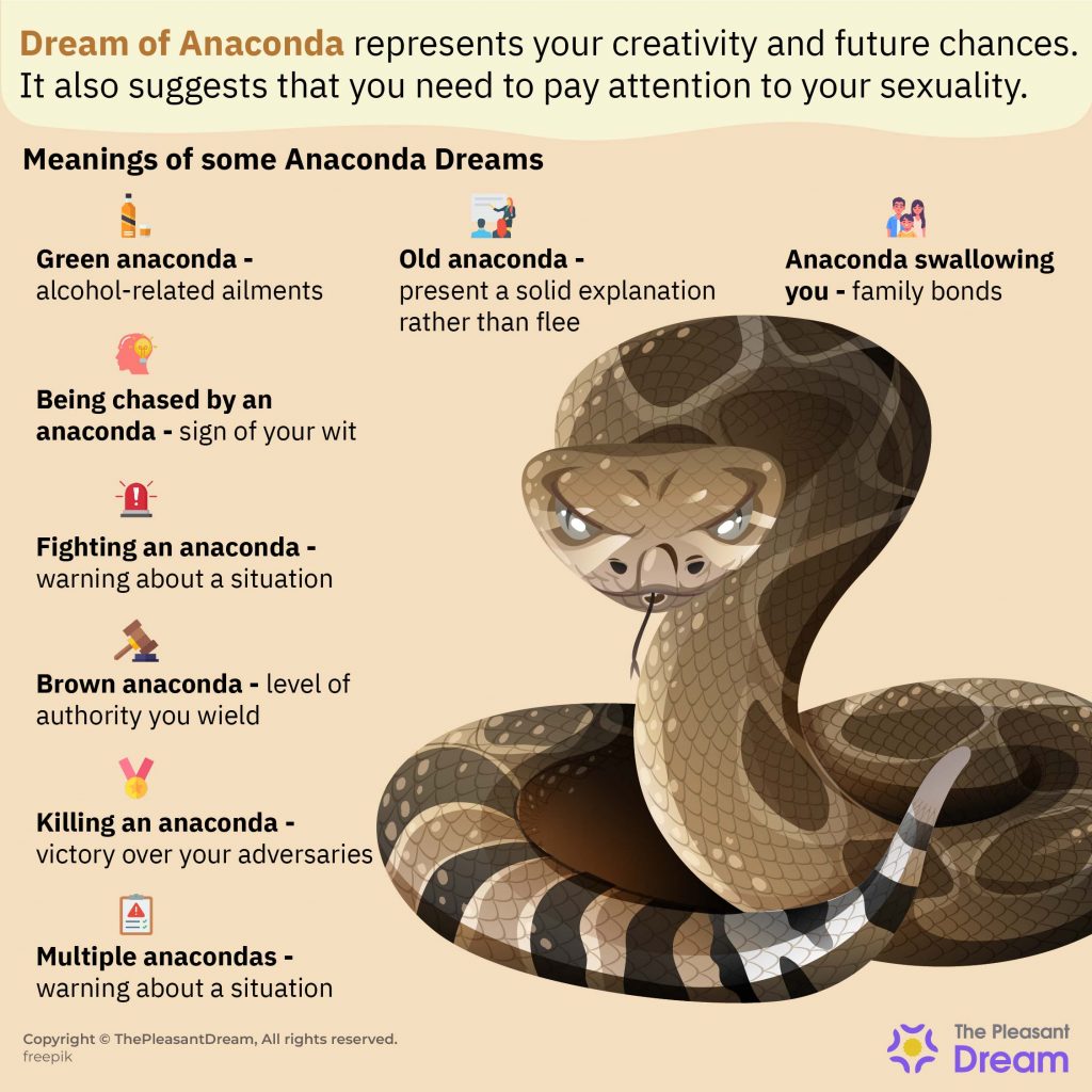 Dream of Anaconda - 80 Various Dreams and Their Meanings