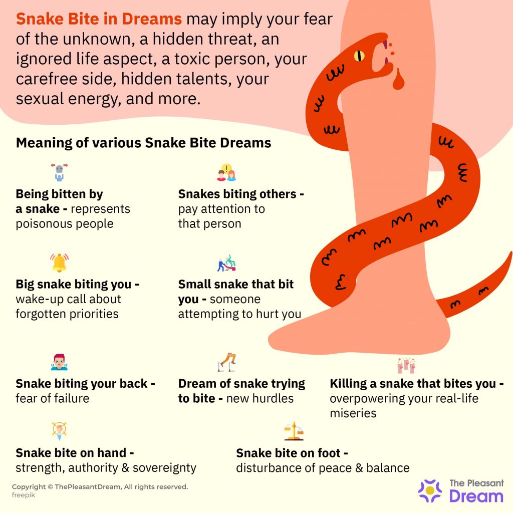 Dream of Snake Bite - 110 Scenarios & Their Meanings
