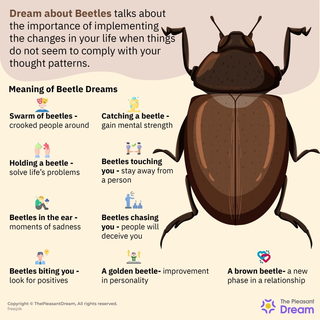 Dream about Beetles - An Array of Plots & Interesting Meanings