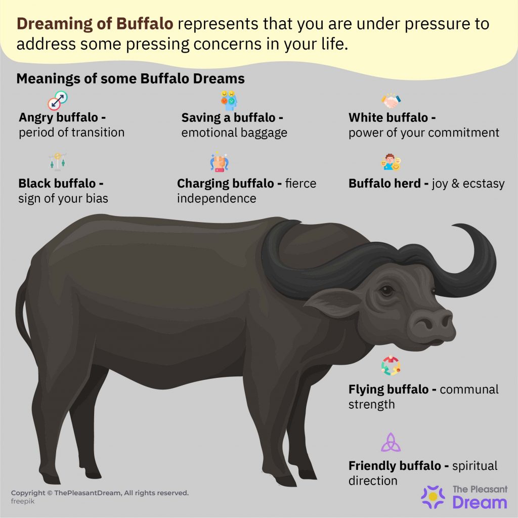 Buffalo in a Dream - 87 Scenarios & Their Meanings 