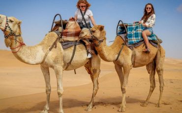 Camel Dream Meaning - Does It Mean Having Patience and Maintaining a Positive Attitude?