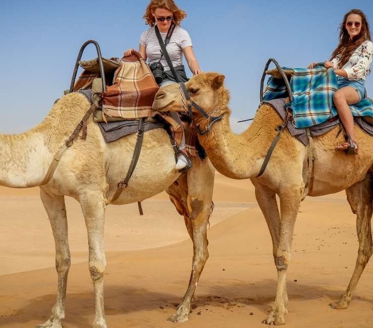 Camels in Dreams – 55 Types & Their Interpretations