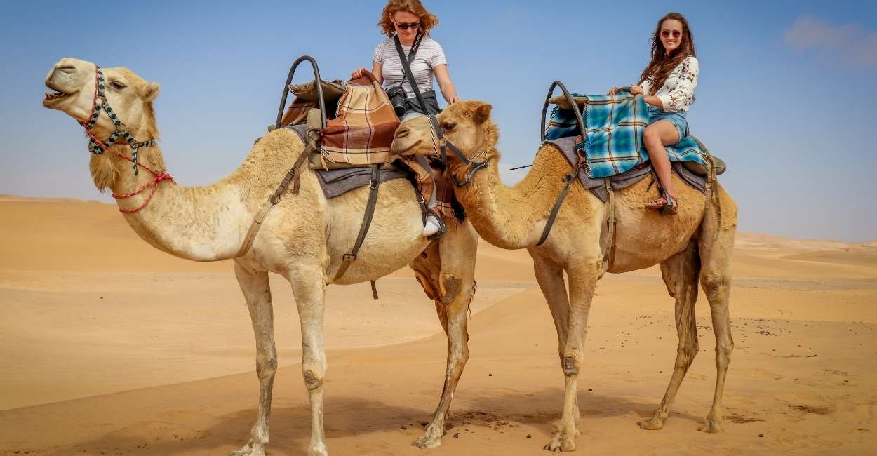 Camel Dream Meaning - Does It Mean Having Patience and Maintaining a Positive Attitude?