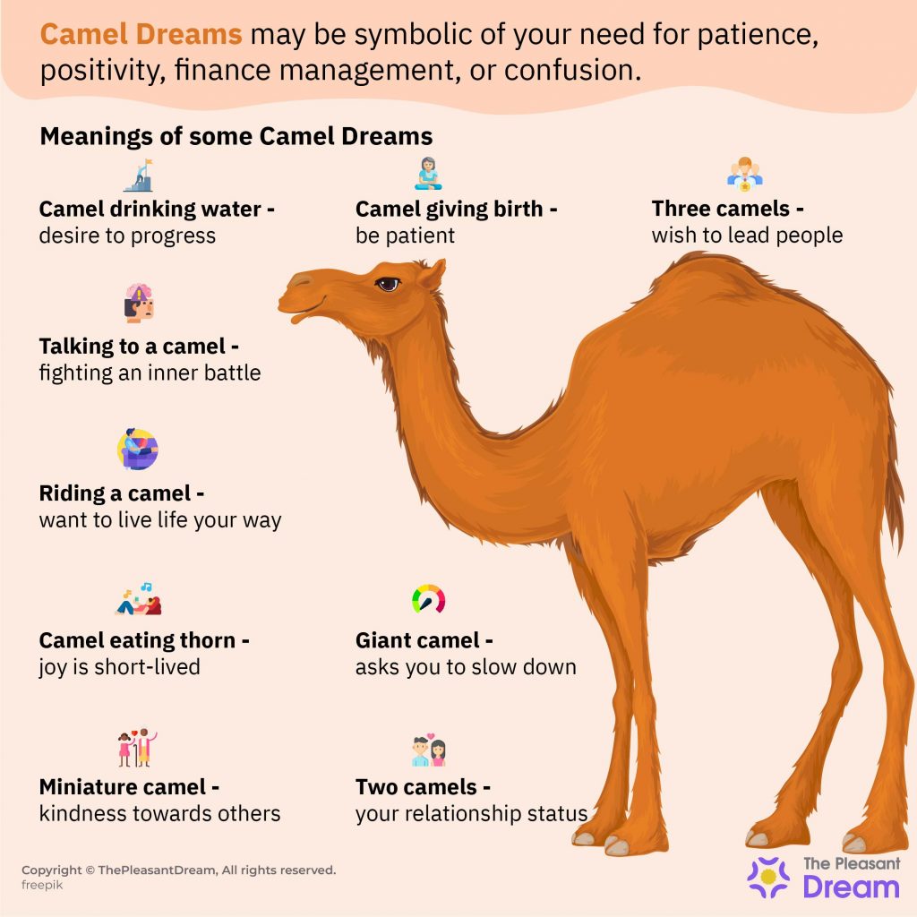 Camel Dream Meaning - Does It Mean Having Patience and Positive Attitude?