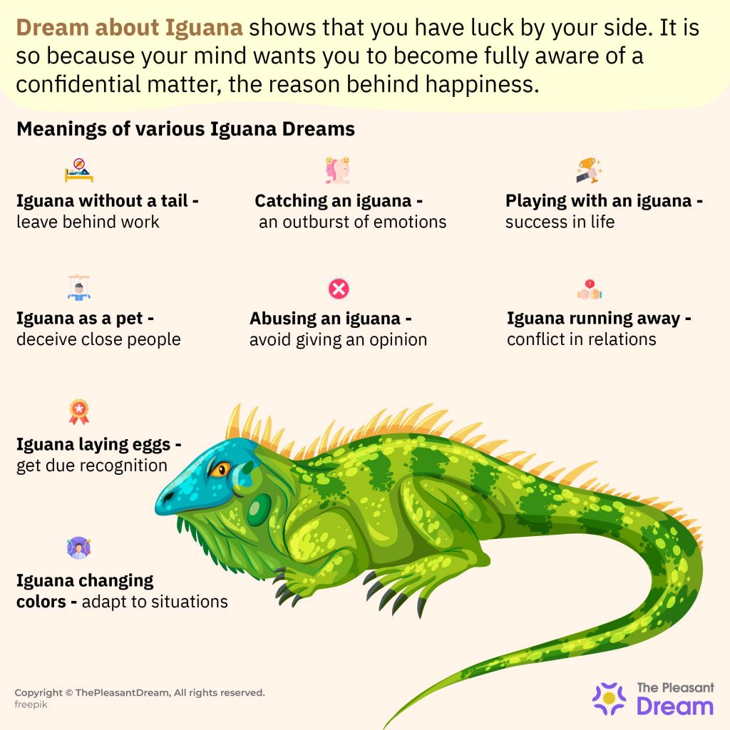 Dream about Iguana - 55 Scenarios and Interesting Interpretations