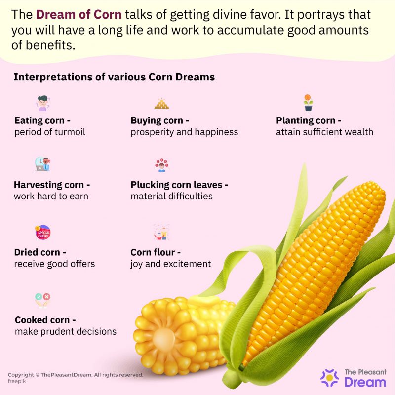 Dream of Corn Interesting Plots Along With Their Interpretations