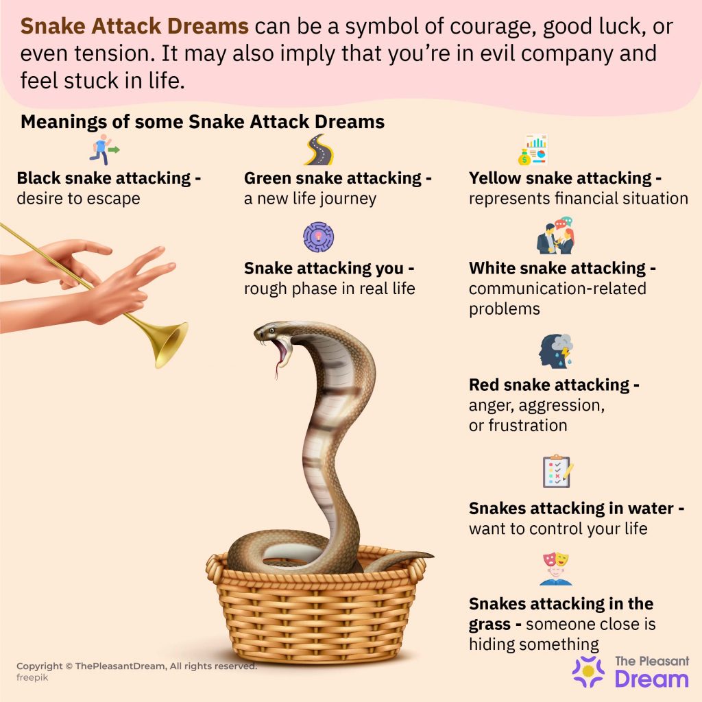 Dream of Snake Attack – 15 Types & Their Interpretations