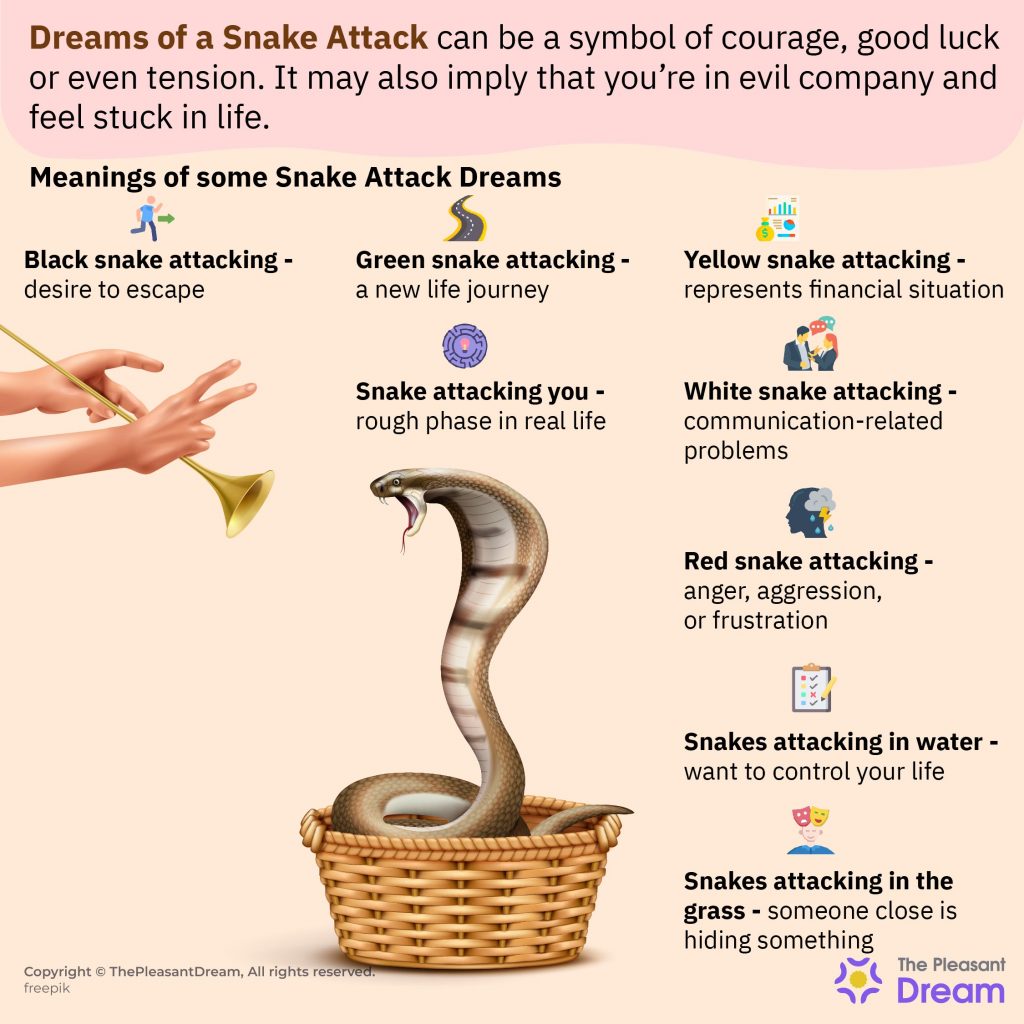 Dream of Snake Attack – Various Types & Their Interpretations