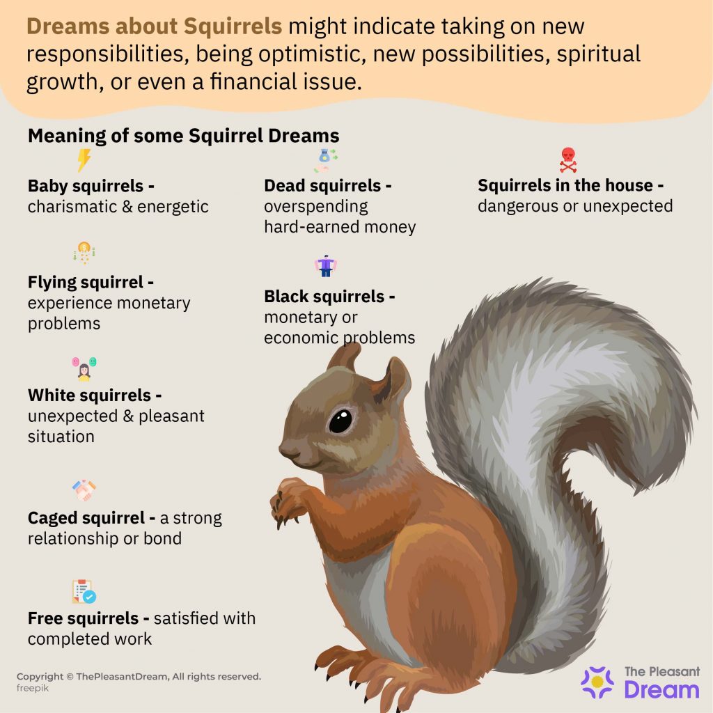 Dreaming about Squirrels – Various Types & Their Interpretations