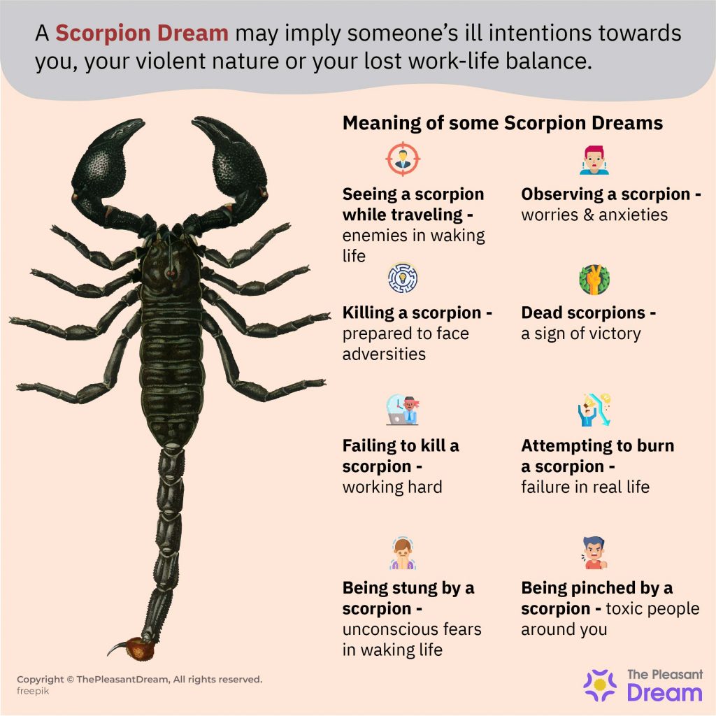 Dreaming of a Scorpions – 75 Plots & Their Interpretations