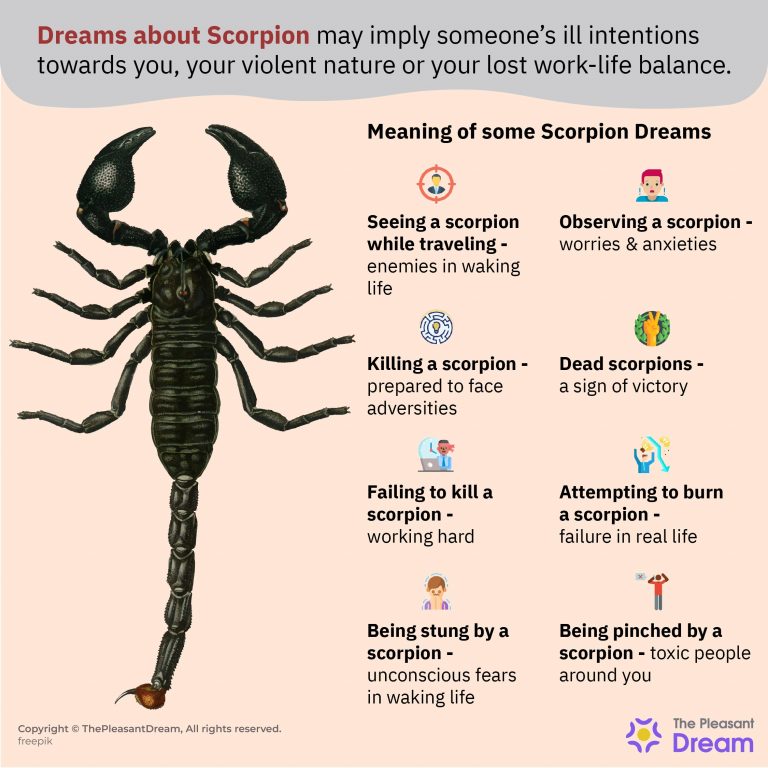 Dreaming of a Scorpion Are You a Violent Person?