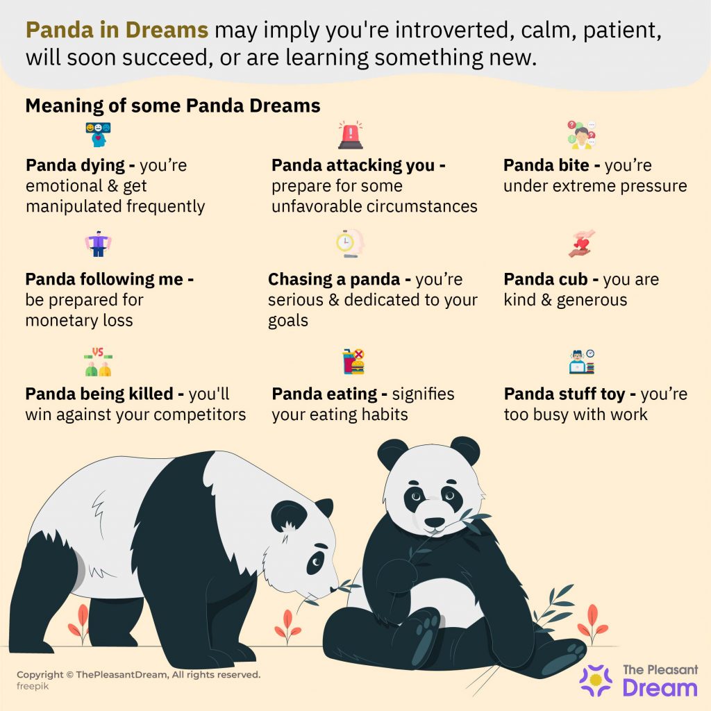 Dreams about Pandas - 25 Scenarios & Their Interpretations