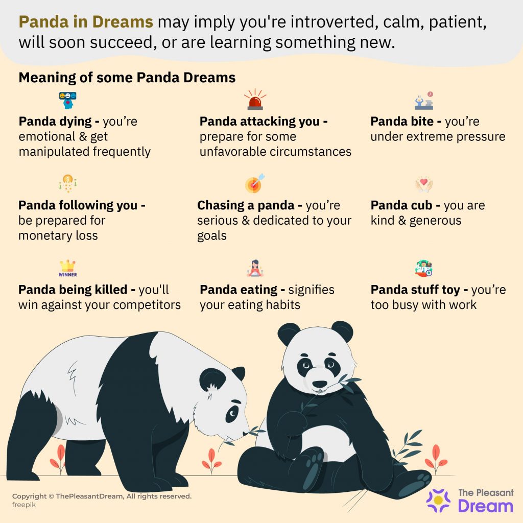 Dreams about Pandas - Various Scenarios & Their Interpretations