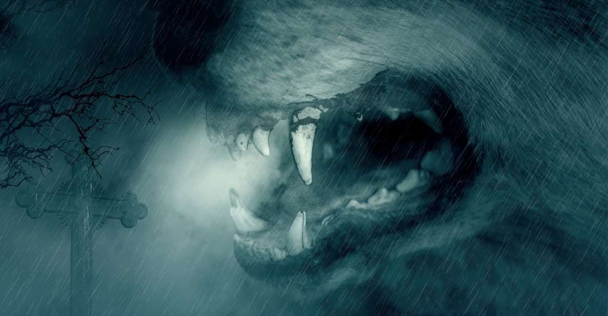 Dreams about Werewolves - 15 Dream Scenarios & Their Interpretations