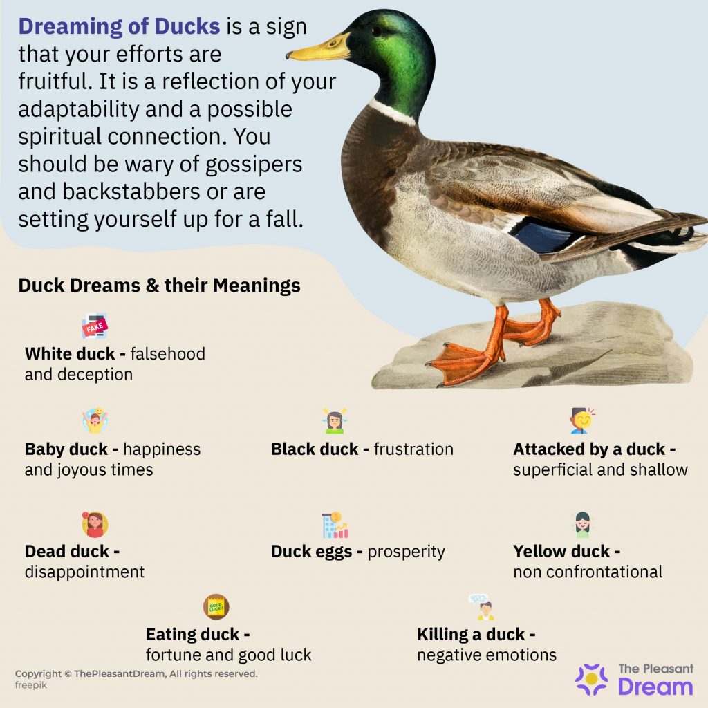 Ducks in Dreams - 75 Intriguing Scenarios & their Detailed Meanings