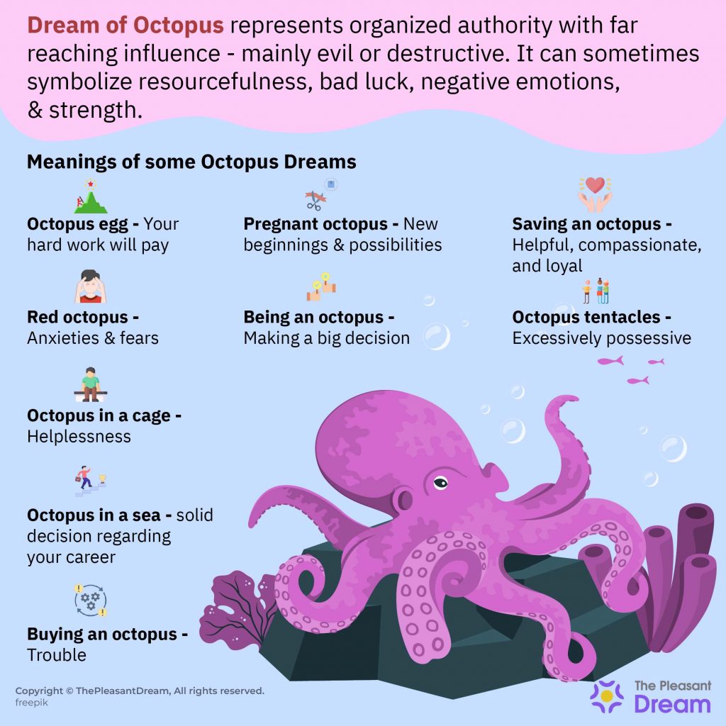 Octopus Dream Meaning - 66 Scenarios & Their Interpretations