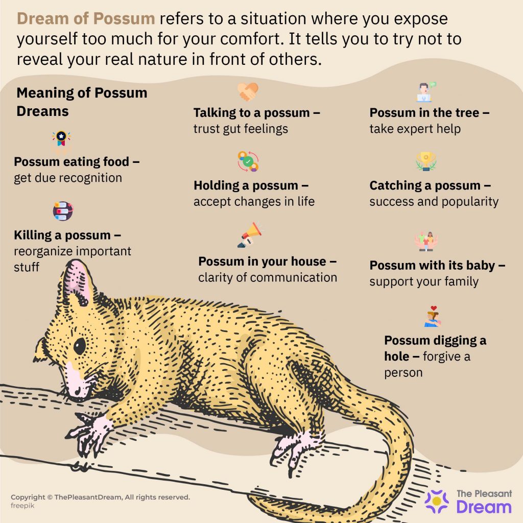 Dream of Possum - 62 Plots and their Interesting Interpretations