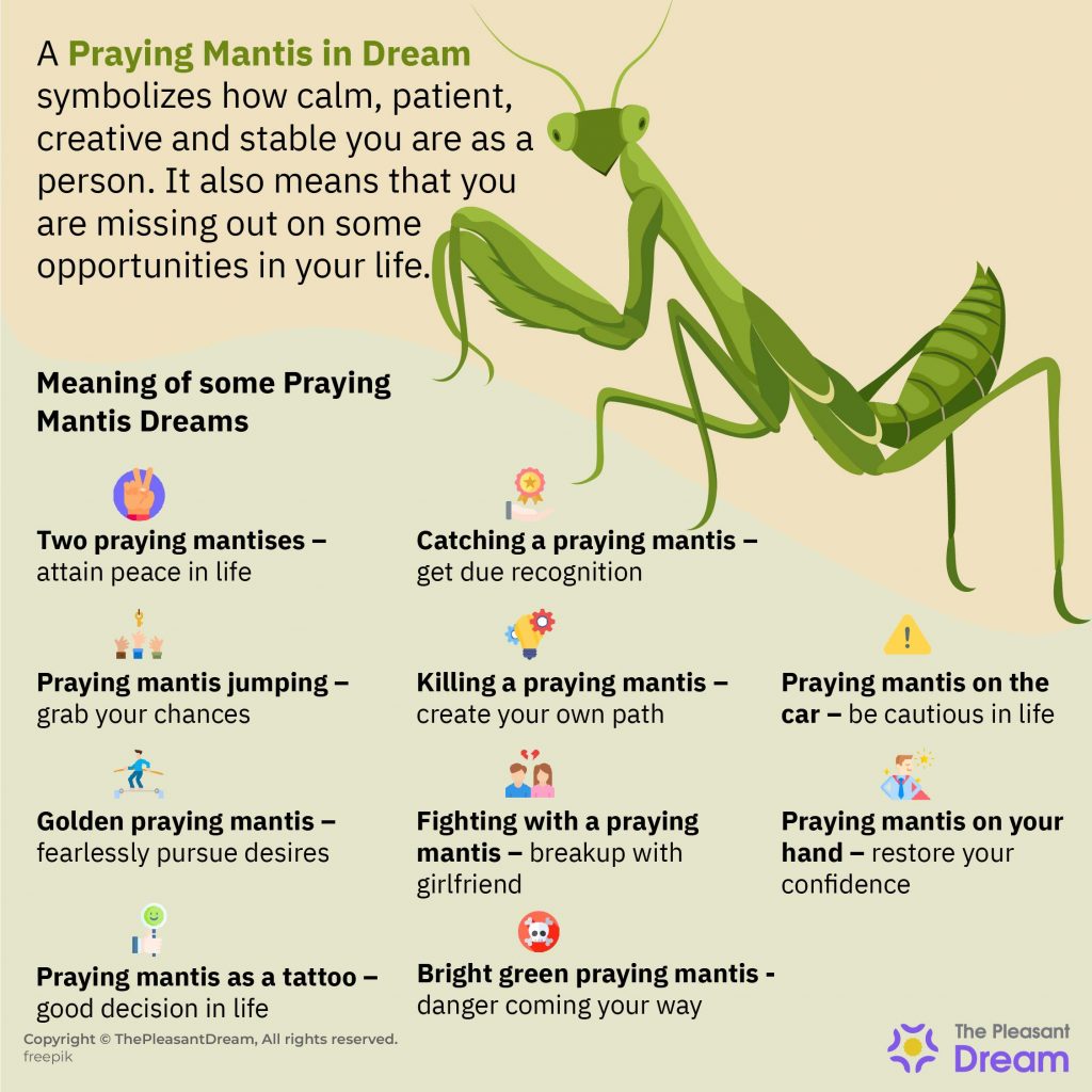 praying-mantis-in-dream-beware-of-the-upcoming-danger