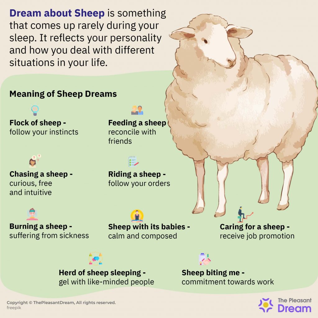 Dream about Sheep - Time To Enjoy Happiness in Family!