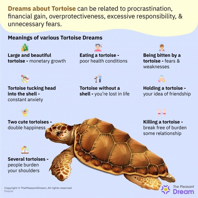 Dream Meaning of Tortoise – Good Luck is Knocking at Your Door!