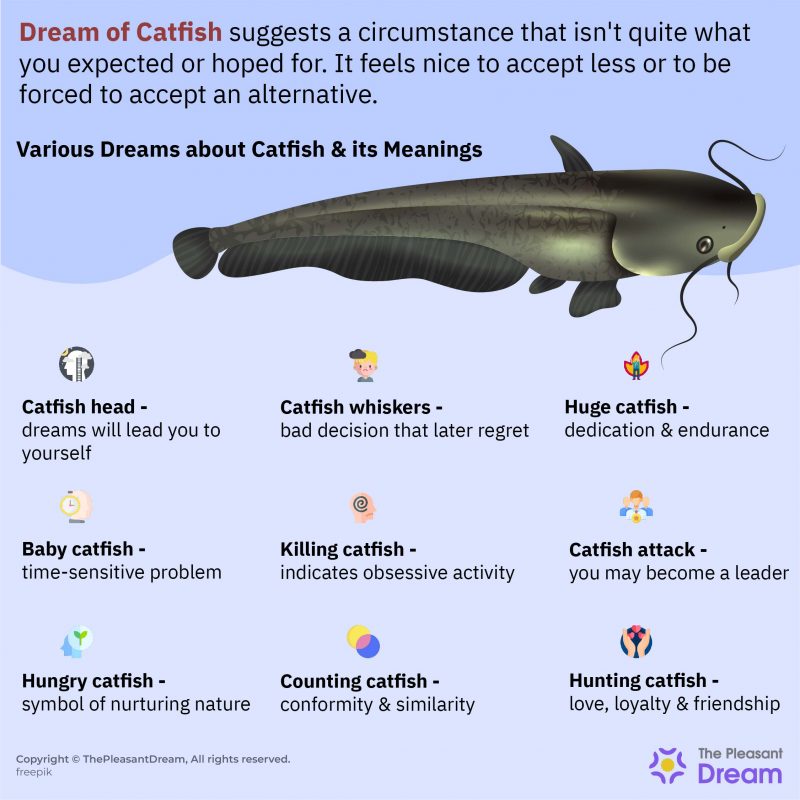Dream about Catfish Various Types & Interpretations to Decode