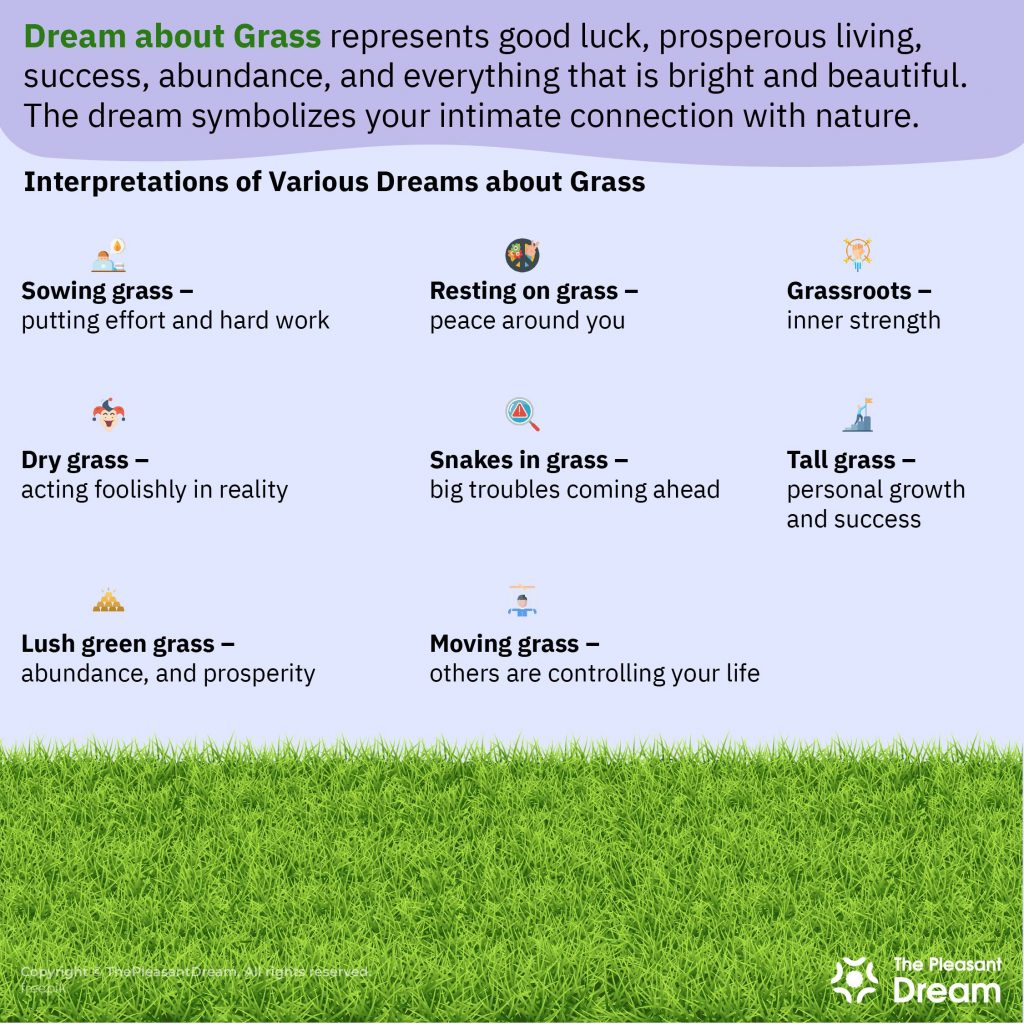 Dream about Grass - 50 Different Scenarios and their Interpretations