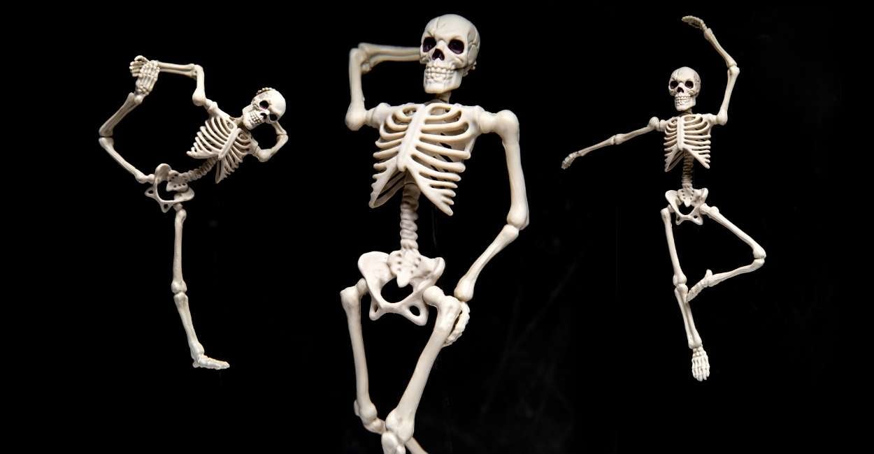 Dreams about Skeletons – Are You Concerned about Embarrassing Situations?