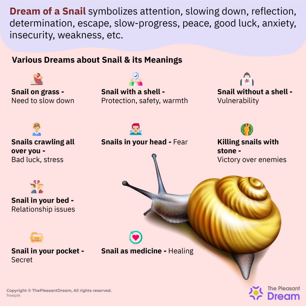 Dream about Snails - 54 Scenarios & Their Interpretations
