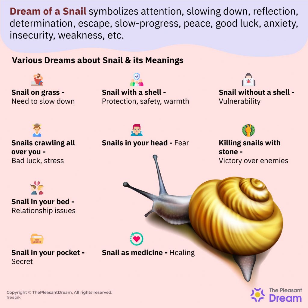 Dream of Snails - Could It Denote a Relaxed Approach to Progress?