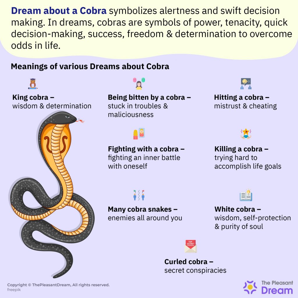 Dream about a Cobra - Common  Scenarios & their Interesting Interpretations