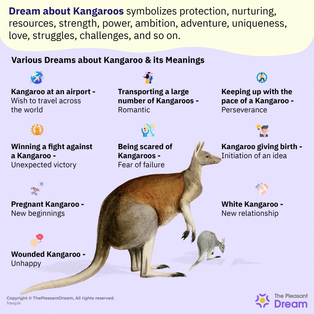 Dream of Kangaroo - Various Scenarios & Their Interpretations