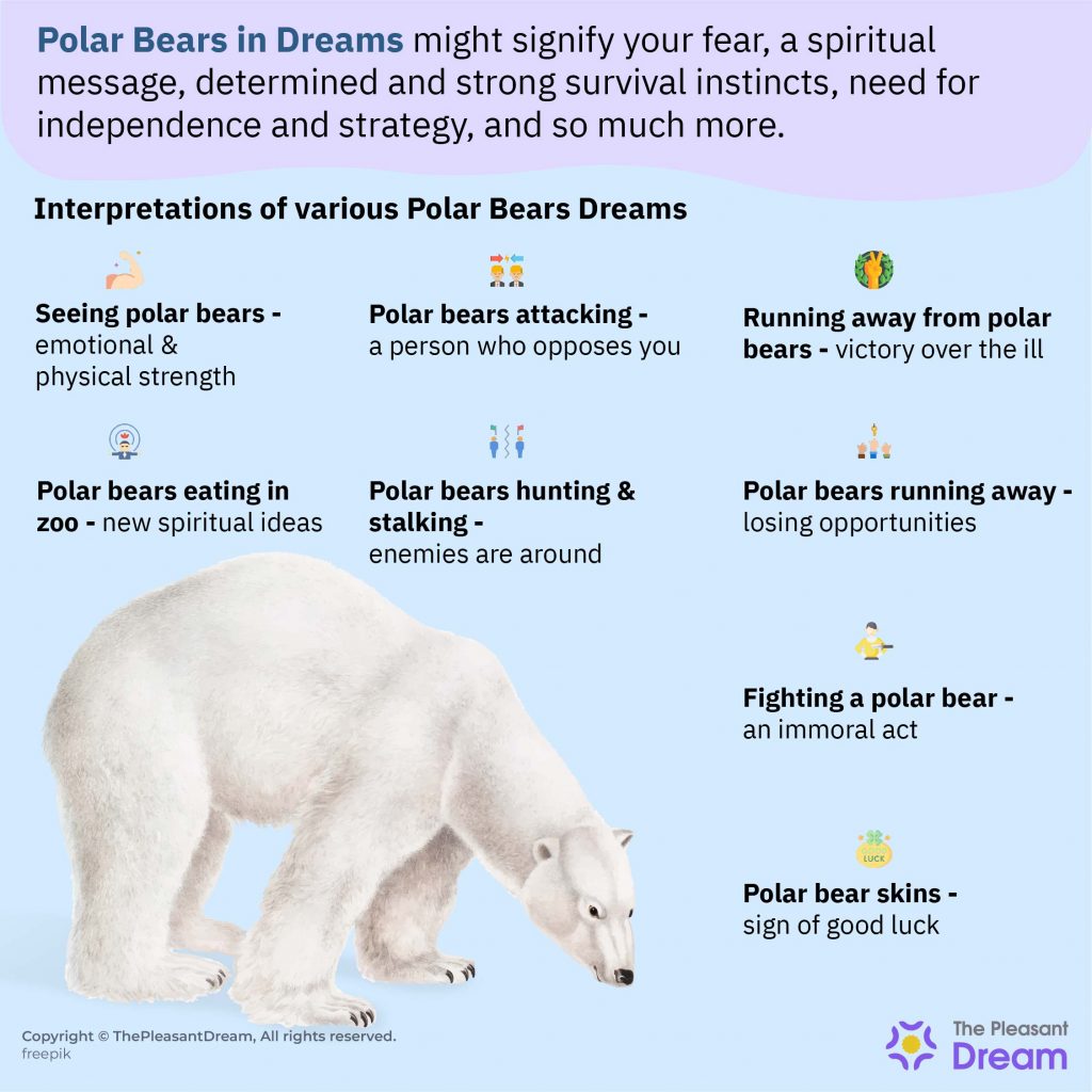 Dreaming about Polar Bears – 50 Types & Their Interpretations